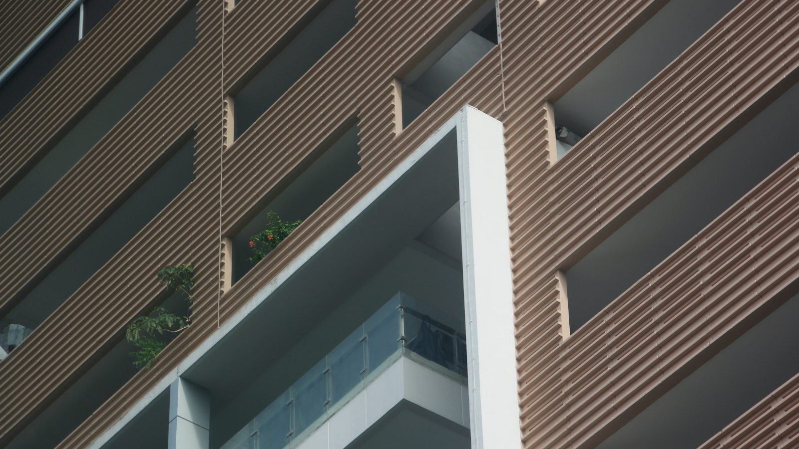 brown and white concrete building